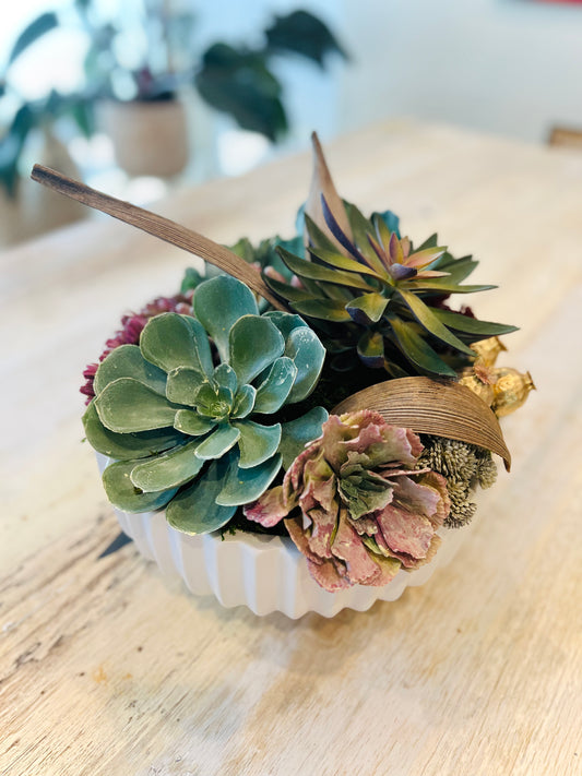 Large Succulent Arrangement - Ceramic Bowl