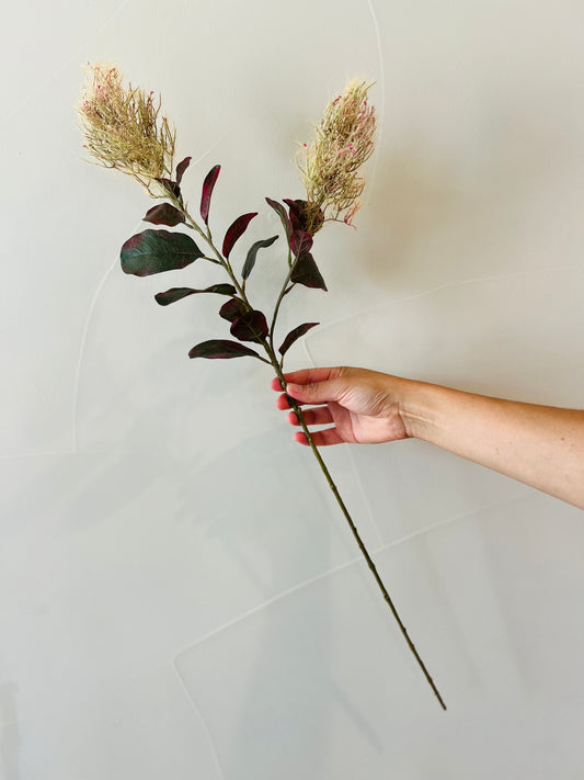 Green/Plum Prairie Smoke Flower Stem 26"